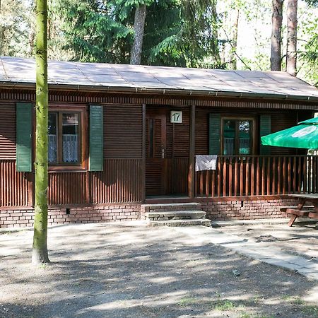 Отель Lesna Ryba Jedlanka Stara Номер фото