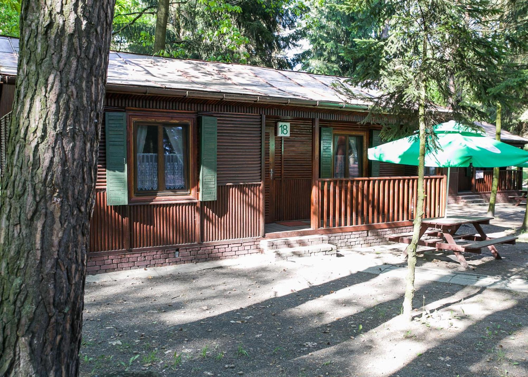 Отель Lesna Ryba Jedlanka Stara Номер фото